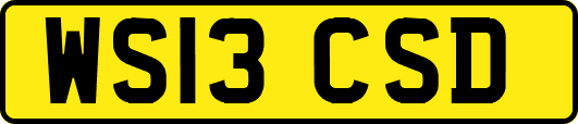 WS13CSD