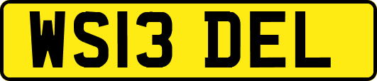 WS13DEL