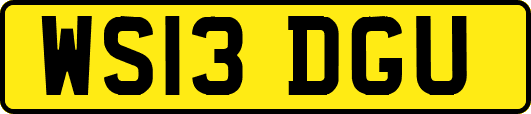 WS13DGU