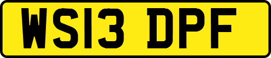WS13DPF