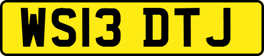 WS13DTJ