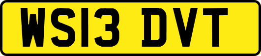 WS13DVT