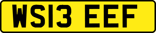 WS13EEF