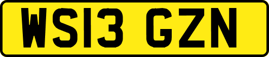 WS13GZN