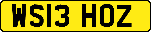 WS13HOZ