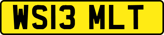 WS13MLT