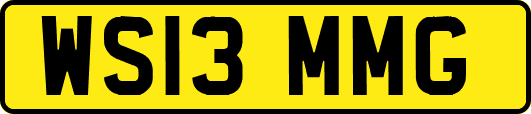 WS13MMG