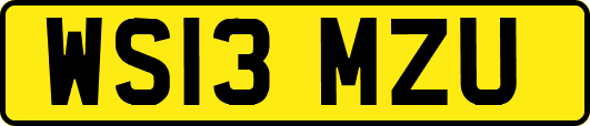WS13MZU