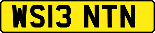 WS13NTN