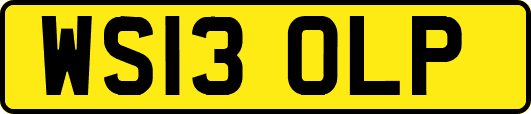 WS13OLP