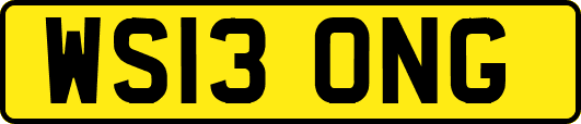 WS13ONG