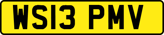 WS13PMV