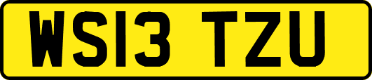 WS13TZU