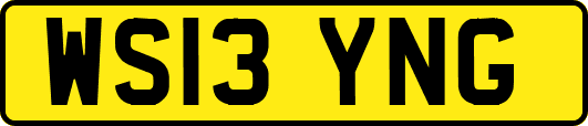 WS13YNG