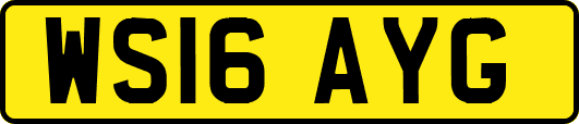 WS16AYG