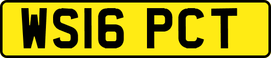 WS16PCT
