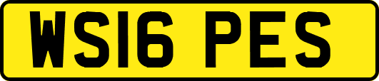 WS16PES