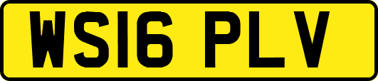 WS16PLV