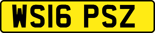 WS16PSZ