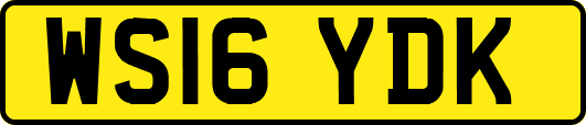 WS16YDK