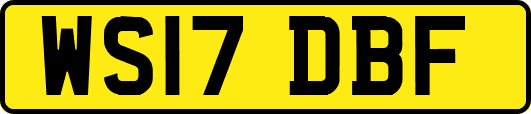 WS17DBF