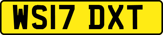 WS17DXT