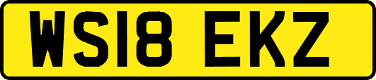 WS18EKZ