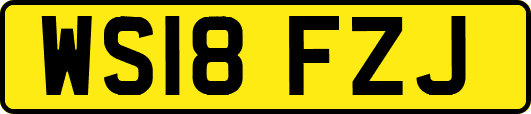 WS18FZJ