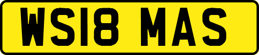 WS18MAS