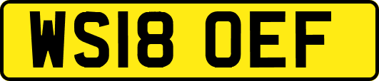 WS18OEF