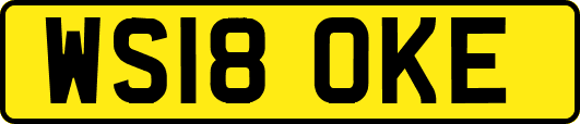 WS18OKE