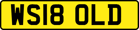 WS18OLD