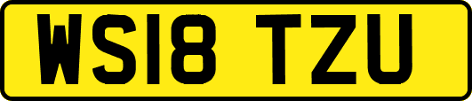 WS18TZU