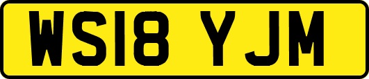 WS18YJM