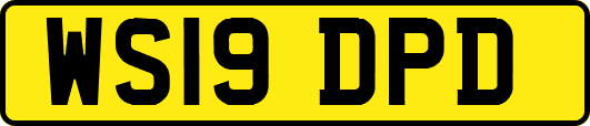 WS19DPD