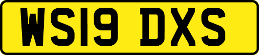 WS19DXS