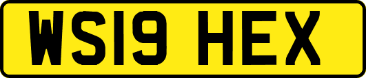 WS19HEX