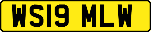 WS19MLW