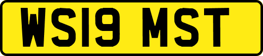 WS19MST