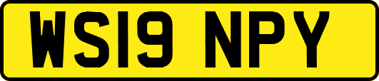 WS19NPY