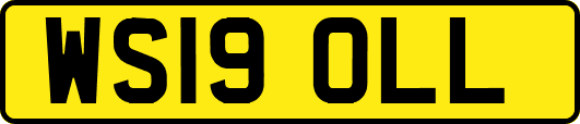 WS19OLL