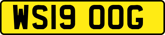 WS19OOG