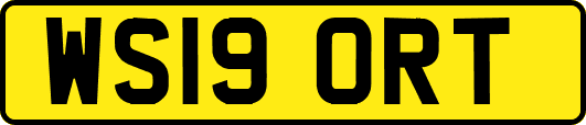 WS19ORT