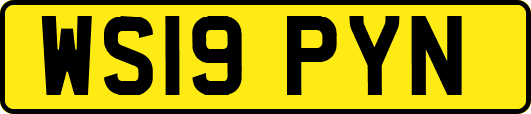 WS19PYN