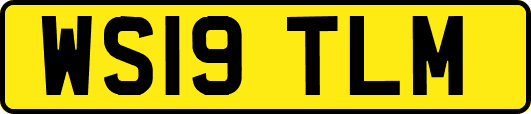 WS19TLM