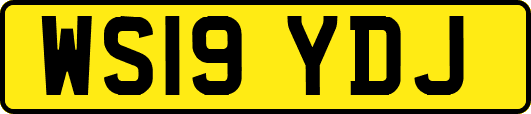 WS19YDJ