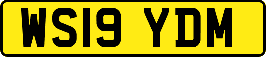 WS19YDM