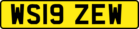 WS19ZEW
