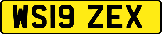 WS19ZEX
