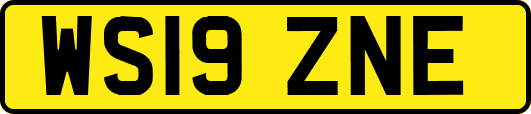 WS19ZNE